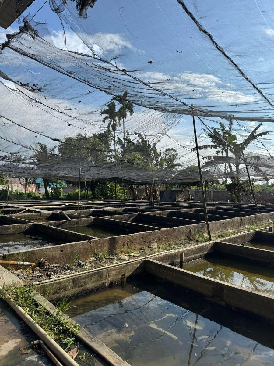 Sui Fish Farm facility