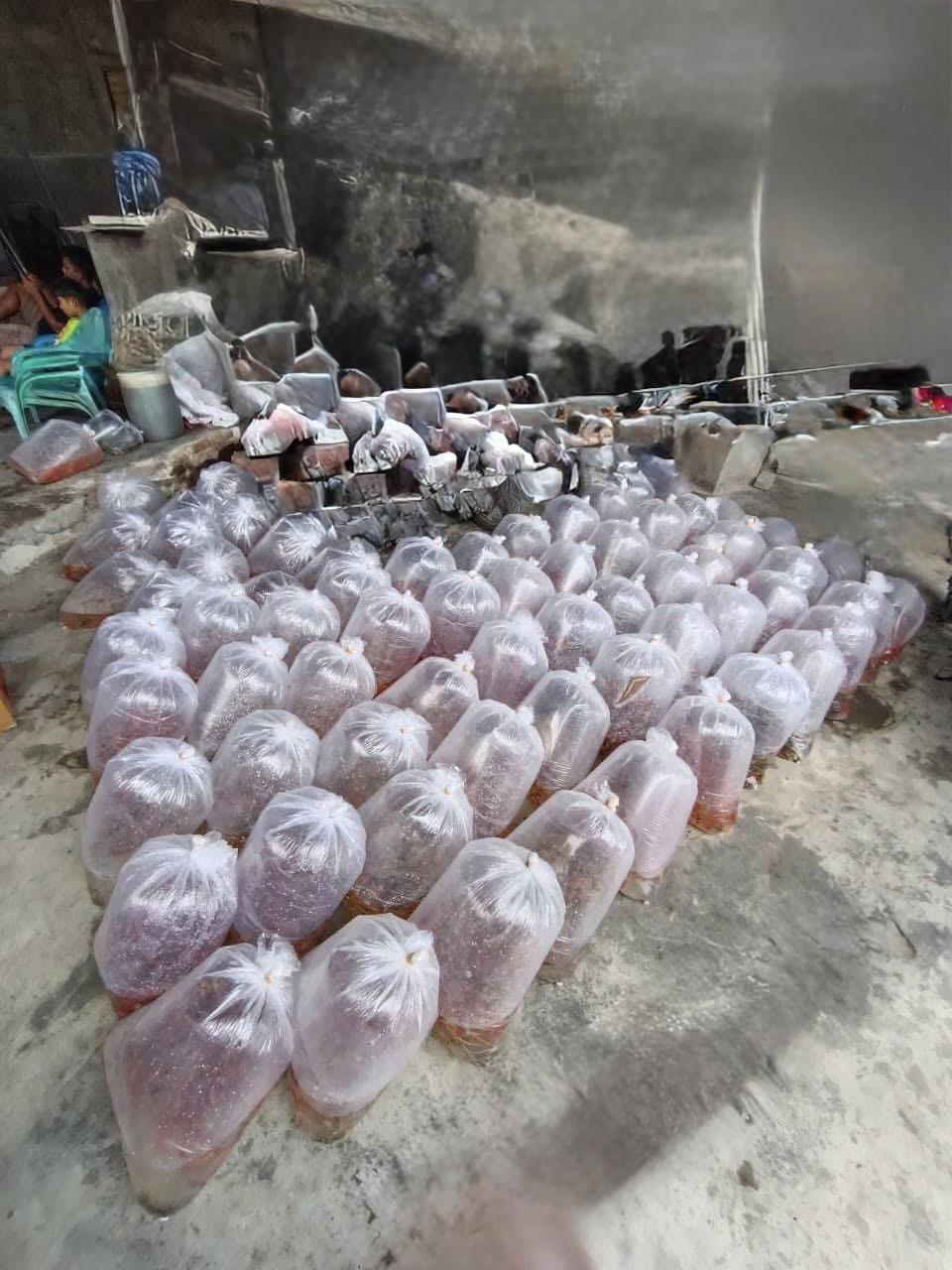 Fish packed in oxygenated bags for distribution